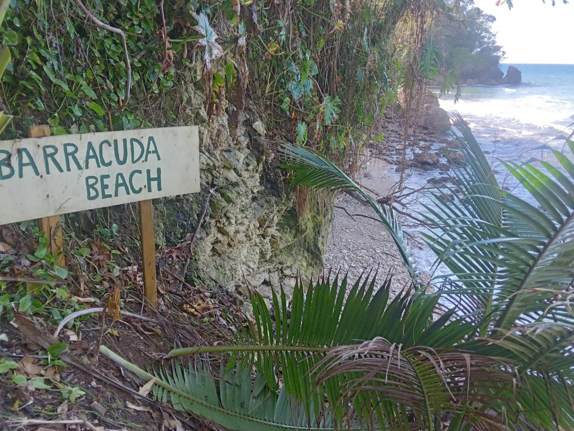 Barracuda Beach Hotel Port Antonio Exterior foto