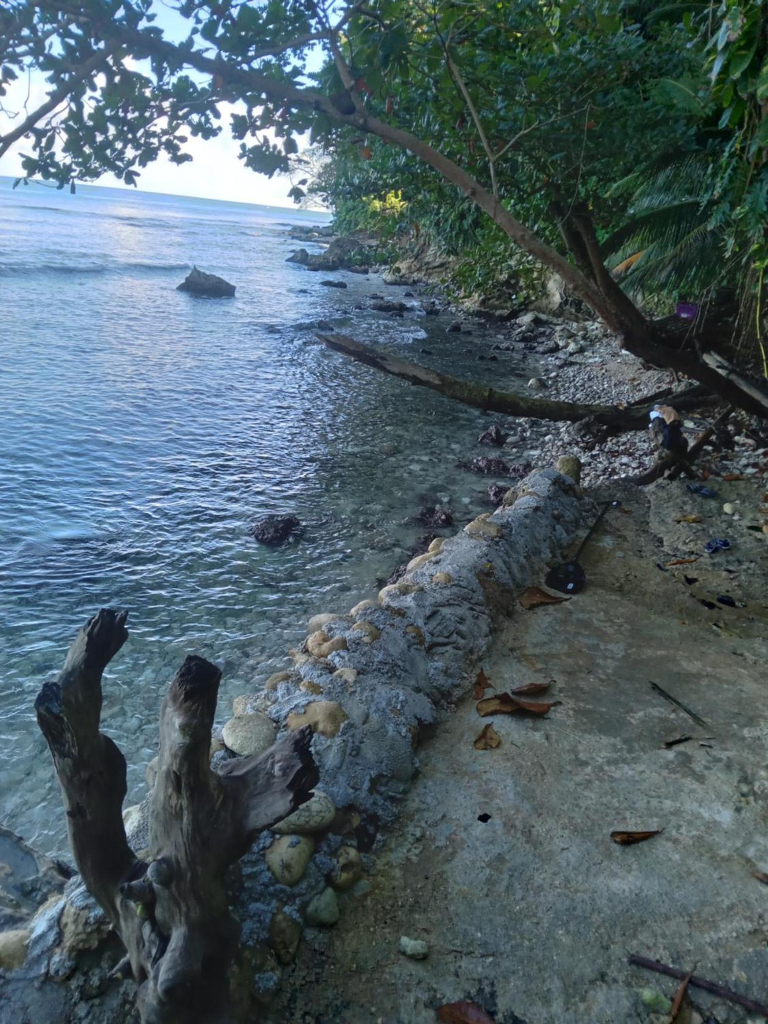 Barracuda Beach Hotel Port Antonio Exterior foto